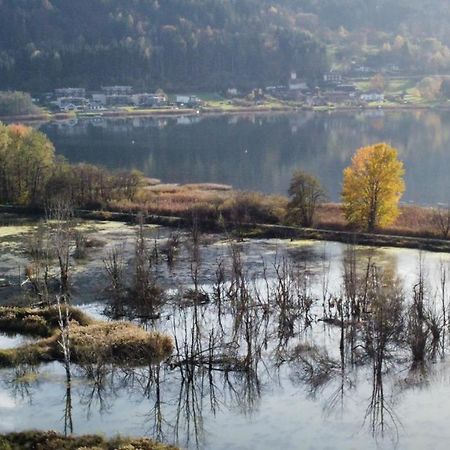 Ferienhaus Natura 2000 Штайндорф-ам-Оссиахер-Зее Экстерьер фото