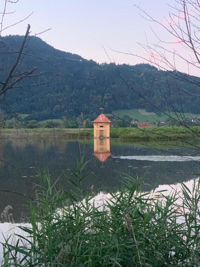 Ferienhaus Natura 2000 Штайндорф-ам-Оссиахер-Зее Экстерьер фото