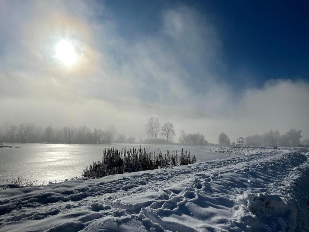 Ferienhaus Natura 2000 Штайндорф-ам-Оссиахер-Зее Экстерьер фото